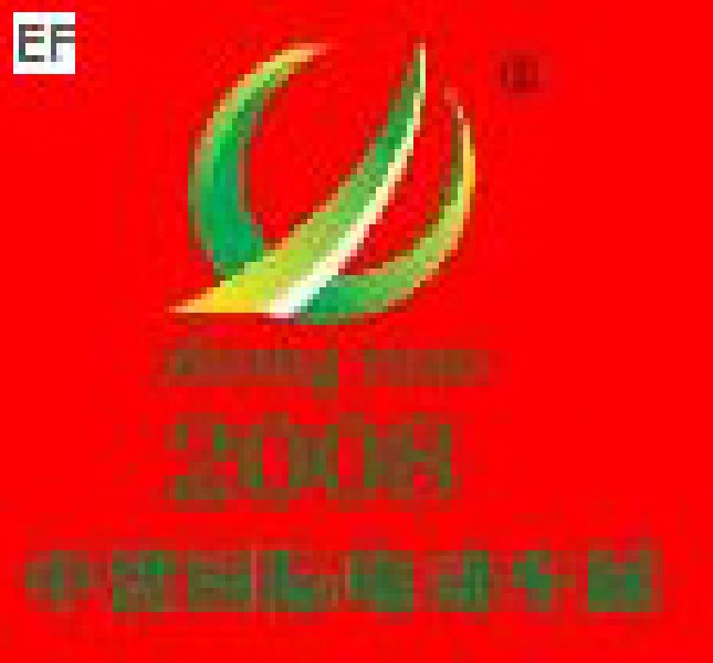2008第五屆中國(濟(jì)南)國際自行車電動車展覽會