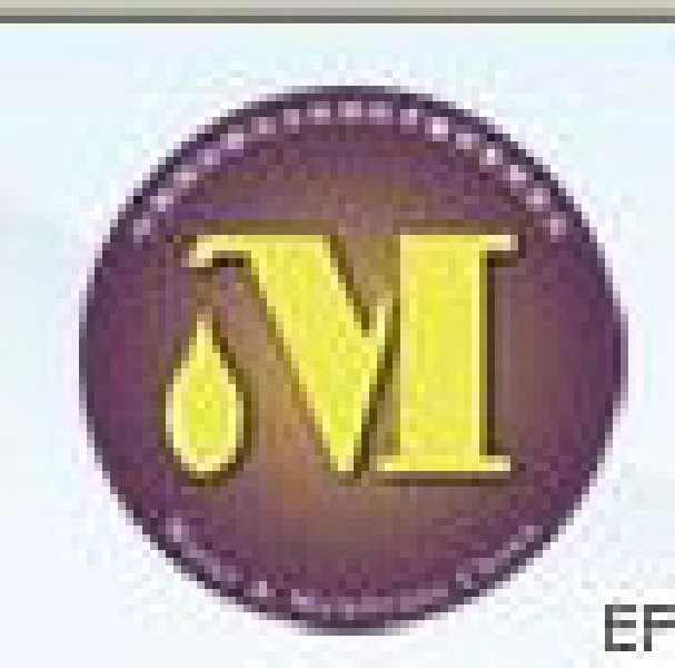 2010第十三屆中國國際膜與水處理技術(shù)暨裝備展覽會(huì)