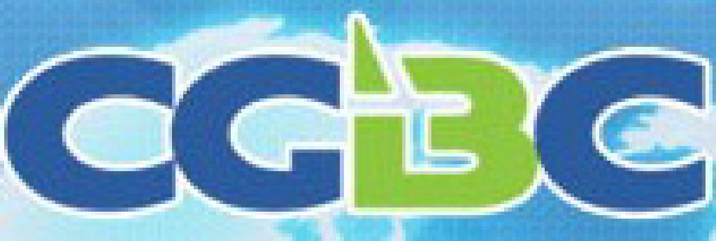 2011第九屆中國游戲商務(wù)大會(huì)