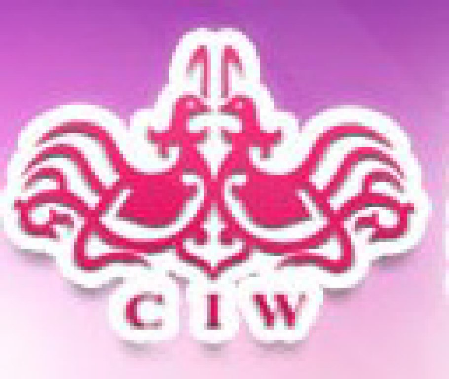 2011年夏季中國(guó)(廣州)國(guó)際婚博會(huì)